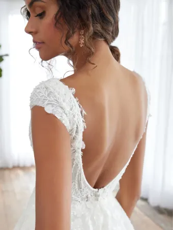 Adrianna Papell Platinum 31237  A-Line V-Neck Cap Sleeve Wedding Dress #3 backface vertical cropped thumbnail