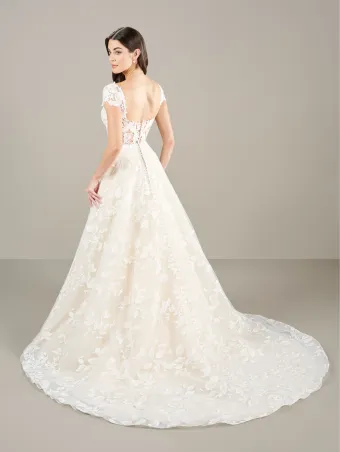 Adrianna Papell Platinum 31282  Sweetheart Lace Ballgown Wedding Dress #2 backface vertical thumbnail