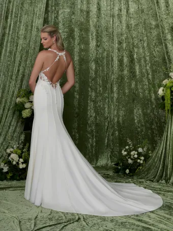 Adrianna Papell Platinum 31353  Fit-and-Flare V-Neck Wedding Dress with Appliques #1 default backface vertical thumbnail