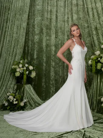 Adrianna Papell Platinum 31353  Fit-and-Flare V-Neck Wedding Dress with Appliques #0 default frontface vertical thumbnail