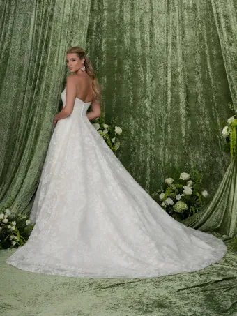 Adrianna Papell Platinum 31354  Strapless A-Line Wedding Dress with Lace Overlay and Train #2 backface vertical thumbnail