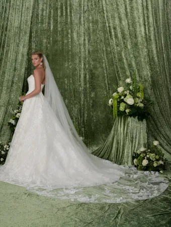Adrianna Papell Platinum 31354  Strapless A-Line Wedding Dress with Lace Overlay and Train #3 default backface vertical thumbnail