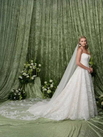 Adrianna Papell Platinum 31354  Strapless A-Line Wedding Dress with Lace Overlay and Train #1 frontface vertical thumbnail
