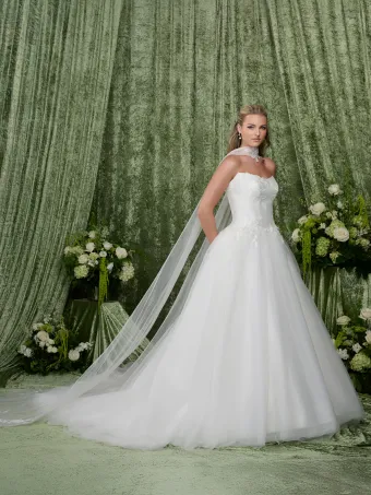 Adrianna Papell Platinum 31356  Strapless Ballgown Wedding Dress #0 default frontface vertical thumbnail