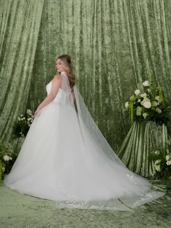 Adrianna Papell Platinum 31356W  Ballgown Wedding Dress with Cape - Bridal Gown #1 backface vertical thumbnail