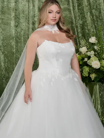 Adrianna Papell Platinum 31356W  Ballgown Wedding Dress with Cape - Bridal Gown #3 frontface vertical cropped thumbnail