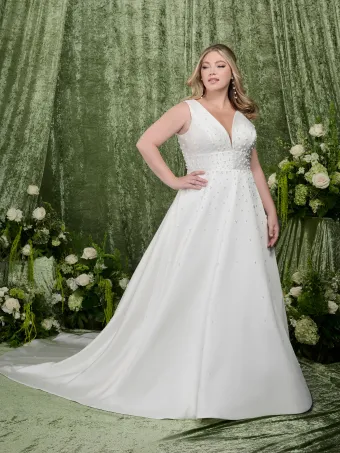 Adrianna Papell Platinum 31365W  A-line V-neck Bridal Gown with Beading and Train #0 default frontface vertical thumbnail