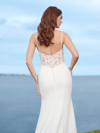 Adrianna Papell Platinum 45004 #3 backface vertical cropped thumbnail