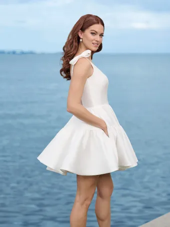 Adrianna Papell Platinum 45006 #2 backface vertical cropped thumbnail