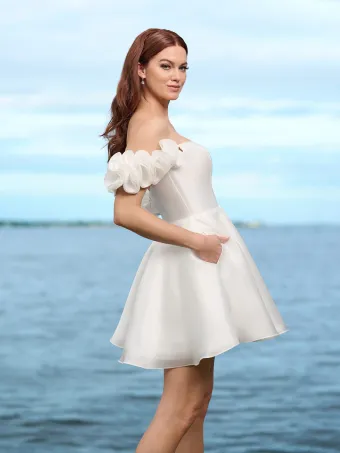 Adrianna Papell Platinum 45012 #3 vertical cropped thumbnail