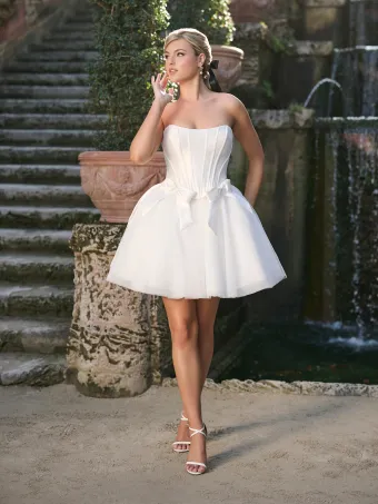 Adrianna Papell Platinum 45035 #0 default frontface vertical thumbnail