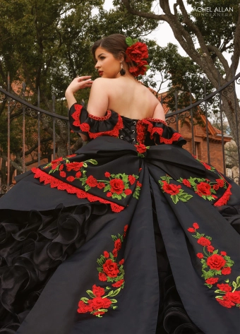 Charro by Rachel Allan #RQ5021 #10 backface vertical cropped thumbnail