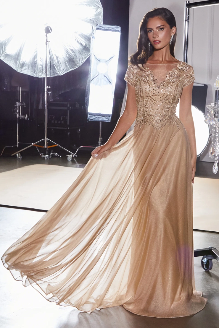 Ladivine by Cinderella Divine Style #CL11 #1 frontface vertical picture