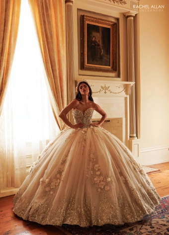 Alta Couture by Rachel Allan #RQ3180 #1 frontface vertical thumbnail