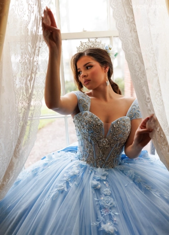 Alta Couture by Rachel Allan #RQ3180 #11 frontface vertical cropped thumbnail