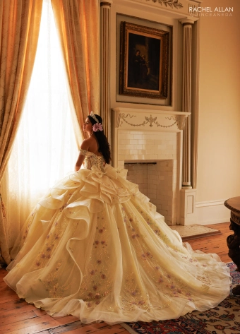 Alta Couture by Rachel Allan #RQ3185 #4 backface vertical thumbnail
