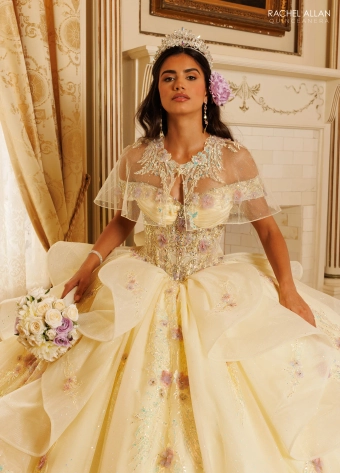 Alta Couture by Rachel Allan #RQ3185 #10 frontface vertical cropped thumbnail