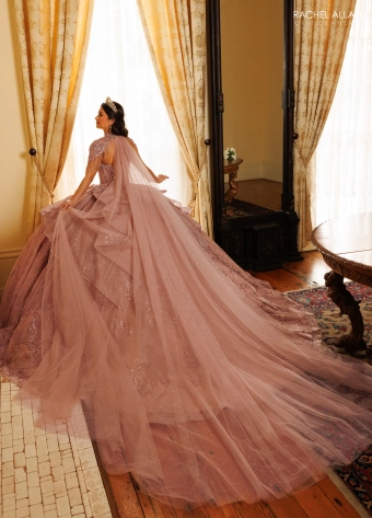 Alta Couture by Rachel Allan #RQ3189 #4 backface vertical thumbnail