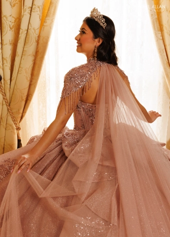 Alta Couture by Rachel Allan #RQ3189 #12 backface vertical cropped thumbnail
