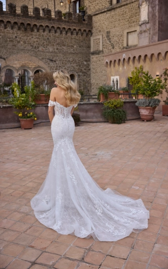 Veni Infantino Style no. 63321 #2 backface vertical thumbnail