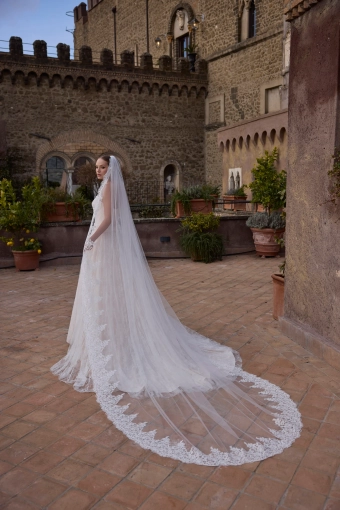 Veni Infantino Style no. 63327 #3 backface vertical thumbnail