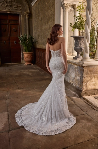 Veni Infantino Style no. 63328 #9 backface vertical thumbnail