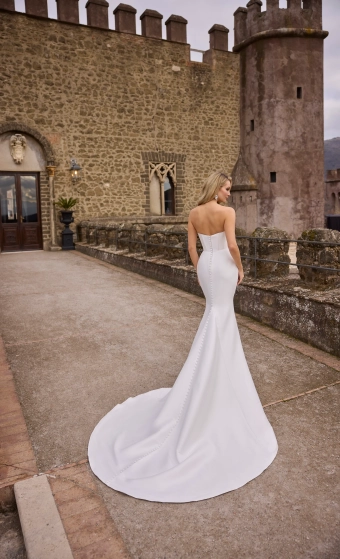 Veni Infantino Style no. 63348 #3 backface vertical thumbnail