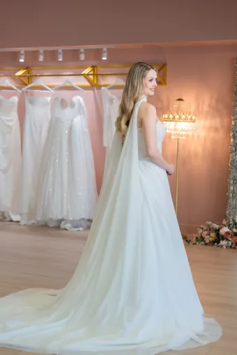 Jana Ann Couture Style #26199 Dreamy Strapless Beaded Corset Ballgown With Light Silk-Tulle Skirt #1 default backface vertical thumbnail