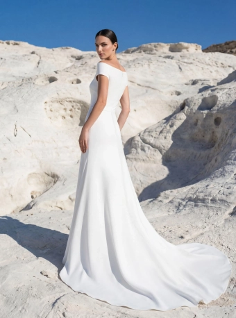 Pronovias Albinia #1 default backface vertical thumbnail