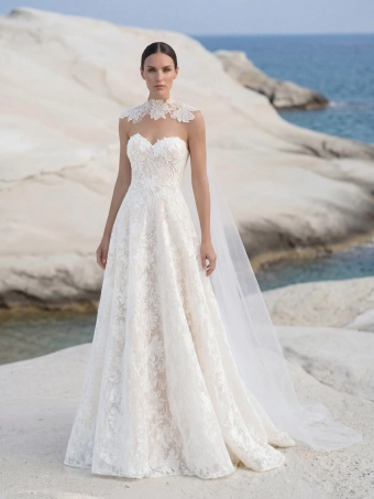 Pronovias Amelvor #0 default frontface vertical thumbnail