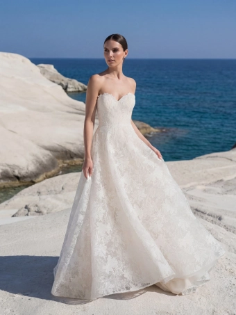 Pronovias Amelvor #1 frontface vertical thumbnail