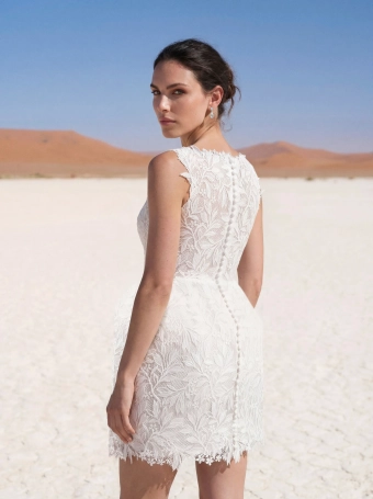 Pronovias Amseny #3 backface vertical cropped thumbnail