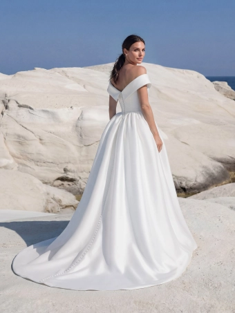 Pronovias Annyela #1 backface vertical thumbnail