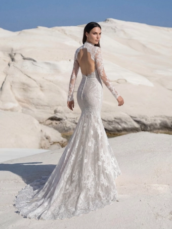 Pronovias Arelli #2 default backface vertical thumbnail
