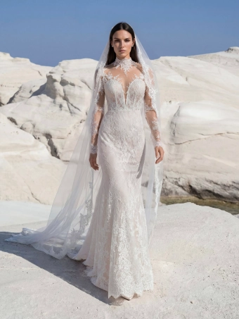 Pronovias Arelli #1 frontface vertical thumbnail