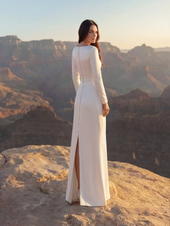 Pronovias Arvo #3 backface vertical thumbnail
