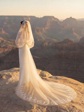 Pronovias Arvo #5 backface vertical thumbnail