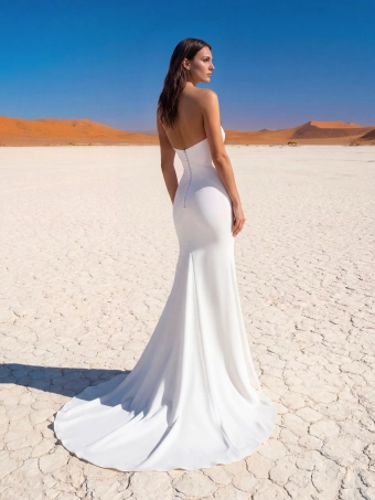 Pronovias Arwey #2 backface vertical thumbnail