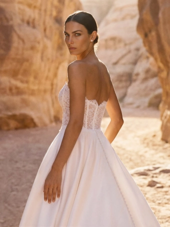 Pronovias Aulley #2 backface vertical cropped thumbnail