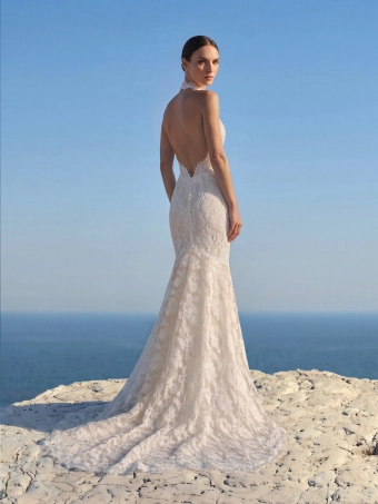 Pronovias Axyrel #2 backface vertical thumbnail
