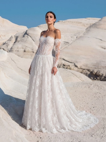 Pronovias Brince #0 default frontface vertical thumbnail