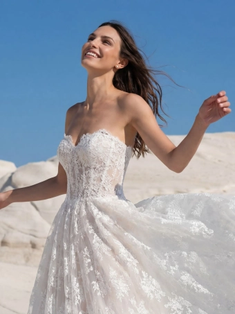 Pronovias Brince #2 frontface vertical cropped thumbnail