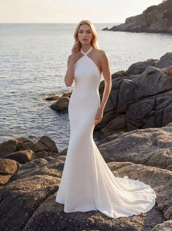 Pronovias Chanting #1 frontface vertical thumbnail