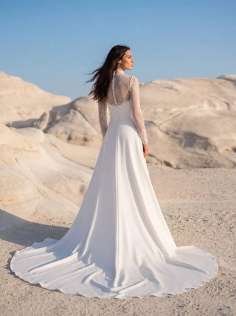 Pronovias Deani #3 default backface vertical thumbnail