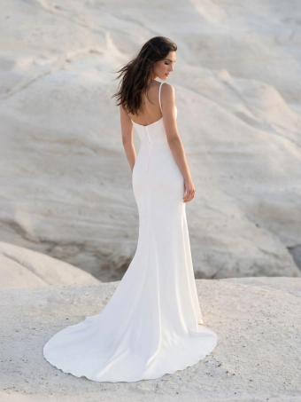 Pronovias Deani #2 backface vertical thumbnail