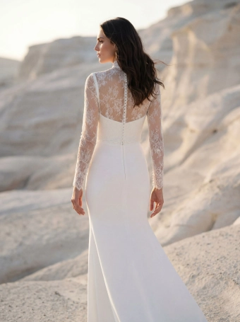 Pronovias Deani #5 backface vertical cropped thumbnail
