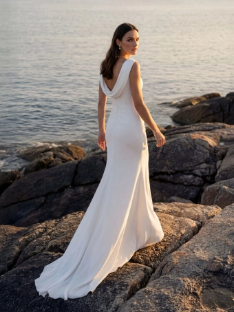 Pronovias Delvion #1 default backface vertical thumbnail