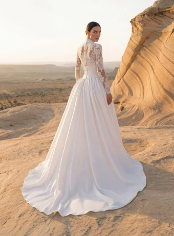 Pronovias Dins #1 default backface vertical thumbnail