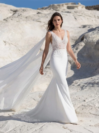 Pronovias Dravy #1 frontface vertical thumbnail