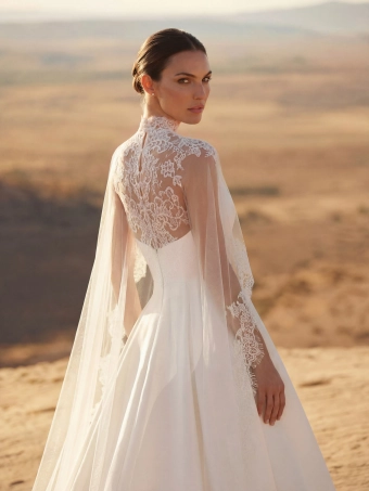 Pronovias Elvynor #3 backface vertical cropped thumbnail